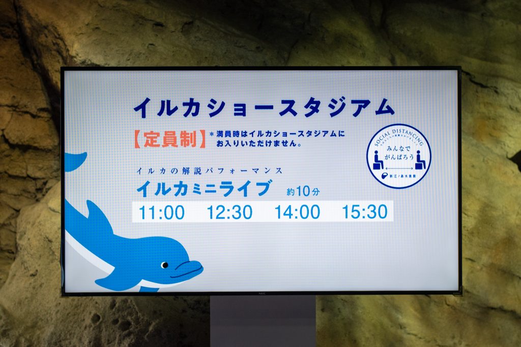 新江の島水族館 おでかけ