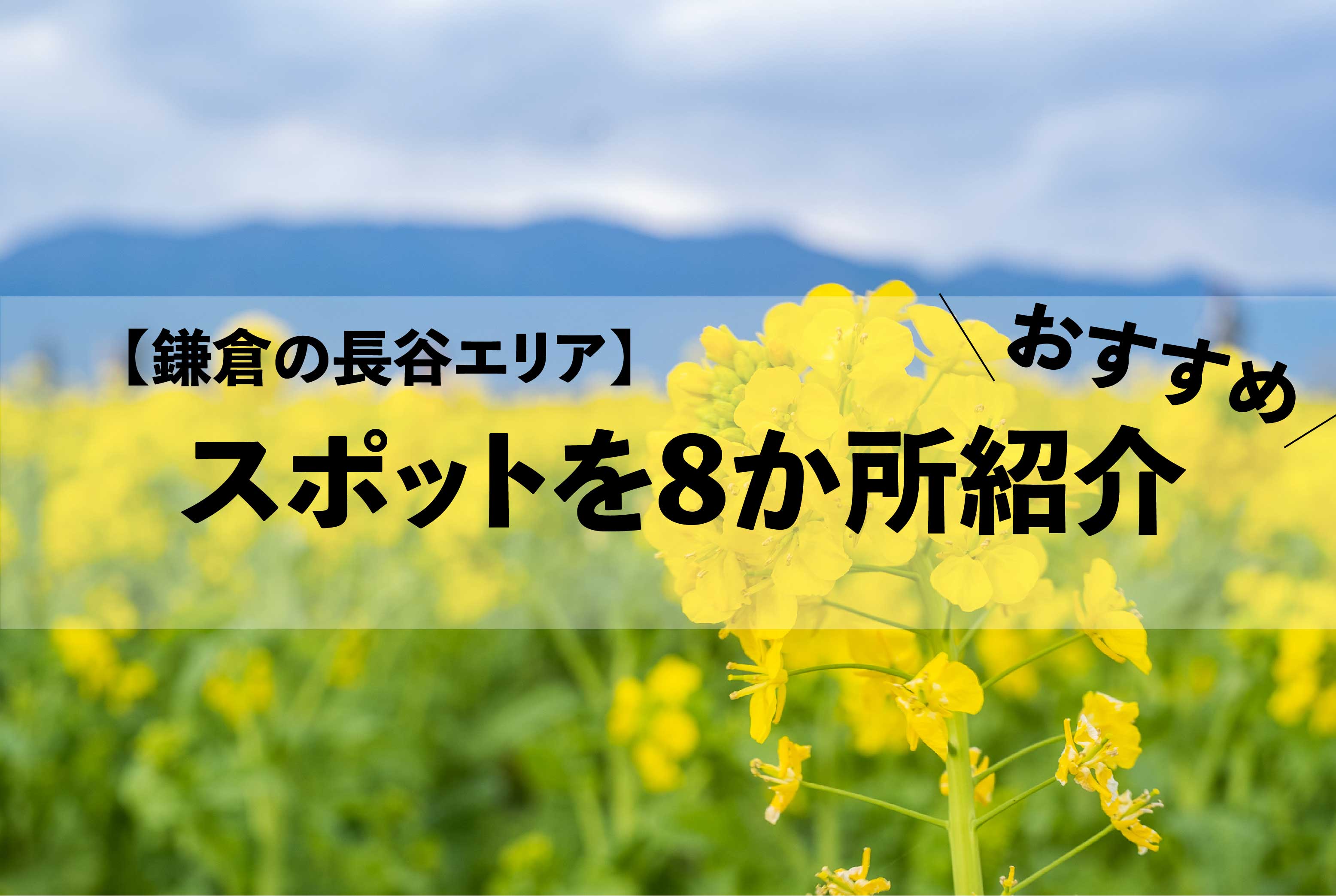 鎌倉の長谷エリア おすすめ観光スポットを8か所紹介 Keymemory鎌倉keymemory Blog 鎌倉長谷おすすめ観光スポット