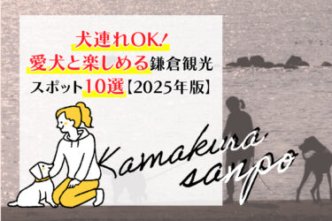犬連れOK！愛犬と楽しめる鎌倉観光スポット10選【2025年版】