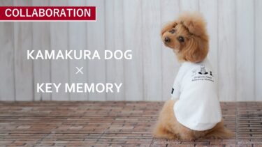 【コラボアイテム】KAMAKURA DOG × KEY MEMORY｜Timeドッグウェア