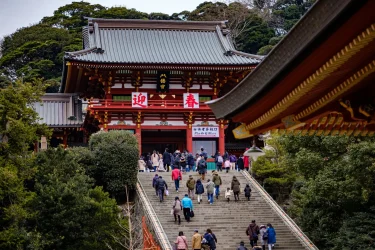 【鎌倉】鶴岡八幡宮での初詣！混雑時間や駐車場情報も紹介